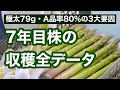 【アスパラガス栽培】7年目株の全データ公開！極太79gとA品率80%超を分けた3つの成功要因