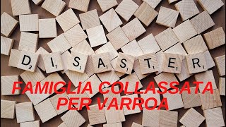DISTASTRO - COLLASSO DA VARROA!!!!!! screenshot 5