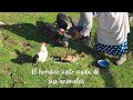 ❄️ Vida Lenta en el Campo 🌳/El Hombre Justo Cuida de Sus Animales 🦃🐈/ Enseñanza Proverbios 12:10 📖/ 