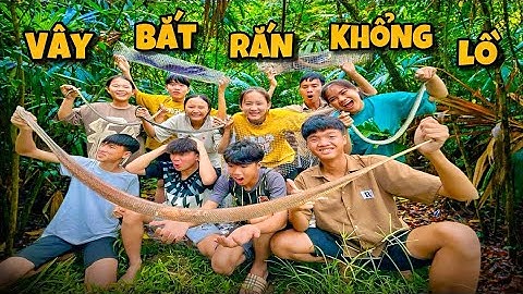 Anh Ba Phai | Một Ngày Đi Bẫy Rắn 🐍