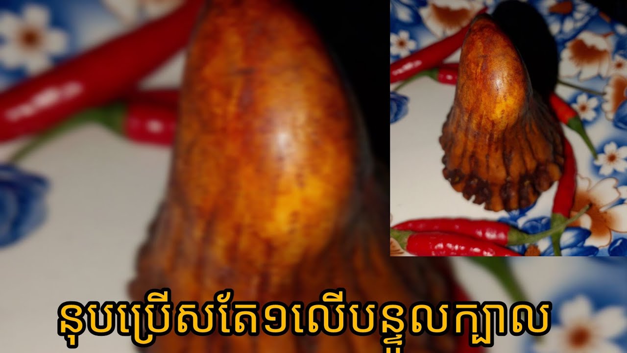 នុបប្រើសពូកែពិត//A single horn on the head of a deer, we call it Nop Khmer, believed to be very