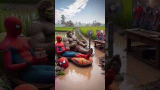 Best Diet Plan For Weight Loss