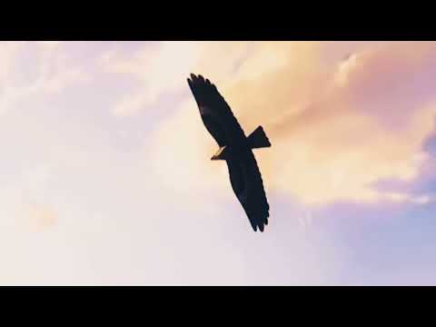rihanna - toward the sun (slowed and reverb)