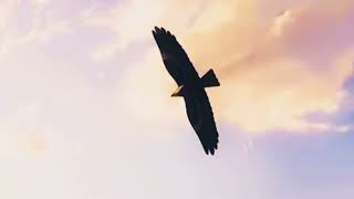 Following The Sun by SUPER-HI x NEEKA (Slowed Down)