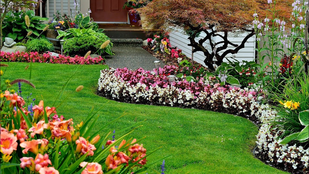 Piękne kwiaty i delikatna muzyka na stres i nerwy 4K