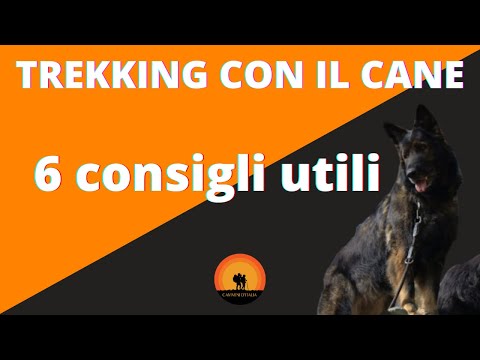 Video: Suggerimenti per l'escursionismo con i cani