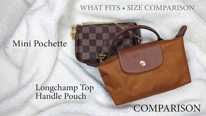 Longchamp LGP Le Pliage Clutch—Best Bang for your Buck — Collab