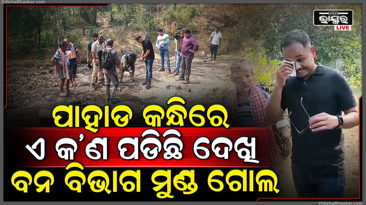 ଜଙ୍ଗଲ ଭିତରେ କାହାର ପଡିଛି ମୃତଦେହ ଦେଖିବାକୁ ଦୌଡି ଆସିଲା ବନ ବିଭାଗ...
