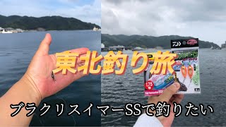 【ぷるぱん釣り部】行くぜ東北! 宮城釣り旅　検索してもわからなかったこの魚は何者？#宮城県 #女川