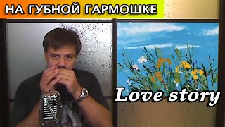 Video thumbnail of "Love Story из к/ф "Крестный отец" на губной гармошке"