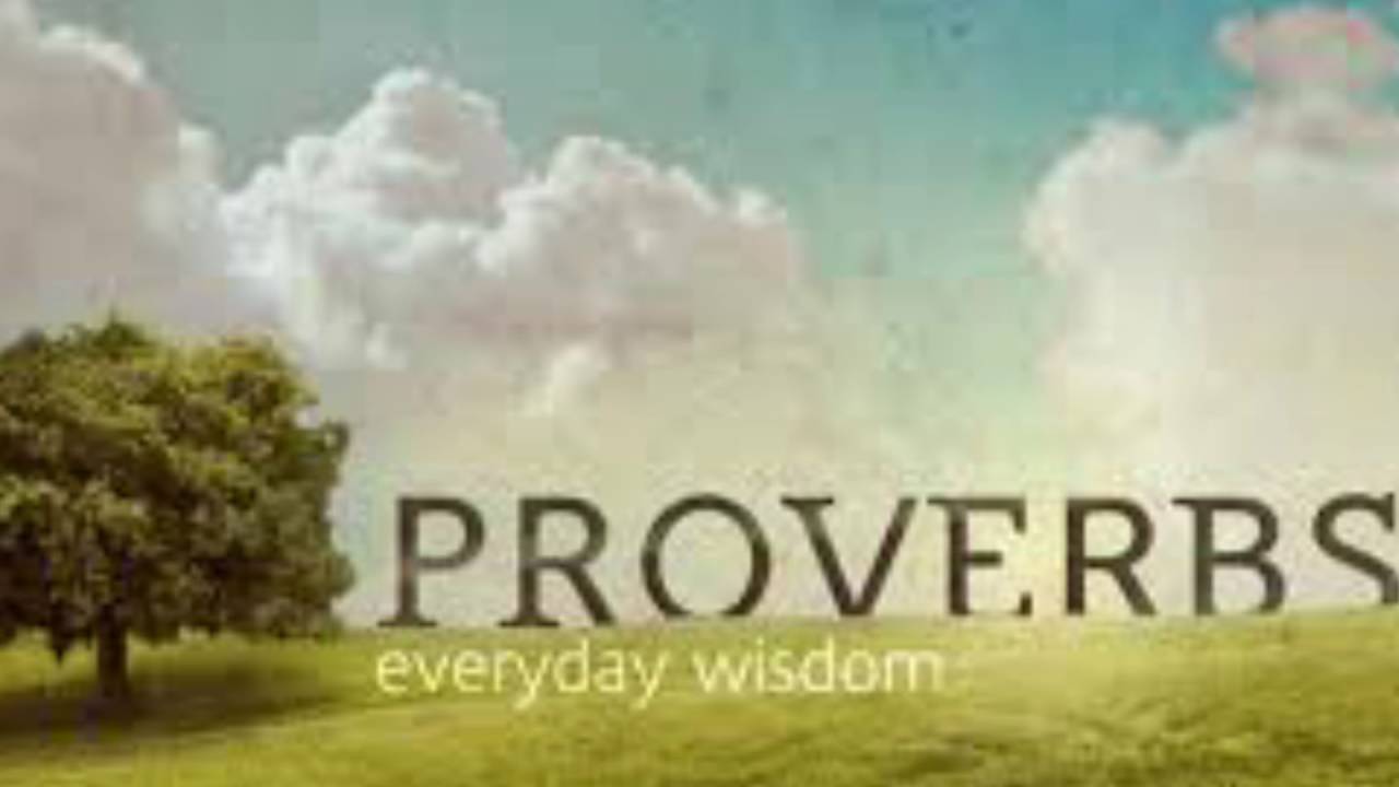 Proverbs Chapter 14 (NIV) - YouTube
