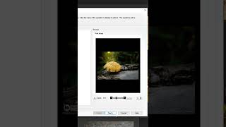 Add Copyright INFO & size images with ACDSee batch processing. #photographytips #photography