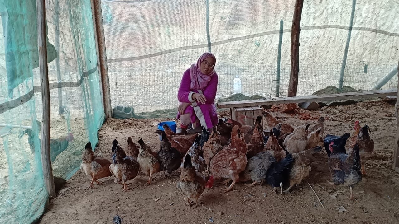 الوز تباع والدجاج البلدي واش غايولف التغييرات الجديدة لي درنا ليه من بعد ماقررنا نحرتو ونزرعو بلاصتو