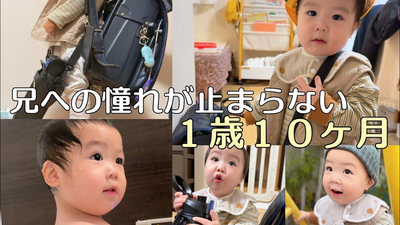  【ぼくも学校に🏫】お兄ちゃんがかっこよくてたまらない１歳の末っ子【ylog-201】