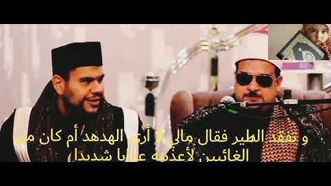 مقطع جد رائع من سورة النمل ما شاء الله للشيخ ممدوح عامر 🧡🧡أطول نفس في قراءة القرآن الكريم🧡🧡🧡🧡