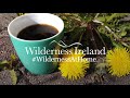Episode 3: Foraging with Lucianne for Dandelion Coffee