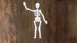NRTW Stop Motion Skeleton