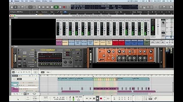 "Faster" Techno Squirrels ~ LPX ~ N6 ~ R9 February 2018