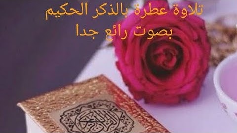 تلاوة عطرة من  الذكر الحكيم  لخمس  ساعات  متواصلة بدون  حقوق الطبع والنشر
