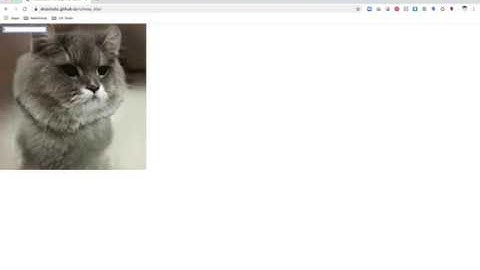 RunwayML Hosted Models Tutorial (Make a GAN Website with p5.js)