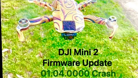 DJI Mini 2- Firmware 01.04.0000 Crash