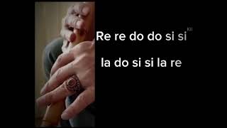 Yemen Ellerinde #veyselk #cover #music #ney #saz #müzik #anonim #ilahi #nota #solfej #yemenellerinde