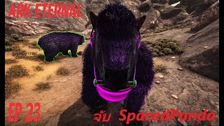 ark eternal EP.23 จับSpacedpanda