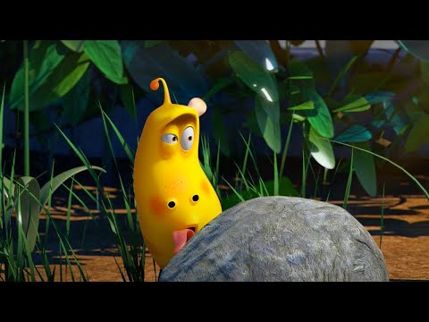 TRAINING LARVA Season 3 Marathon WildBrain Fizz