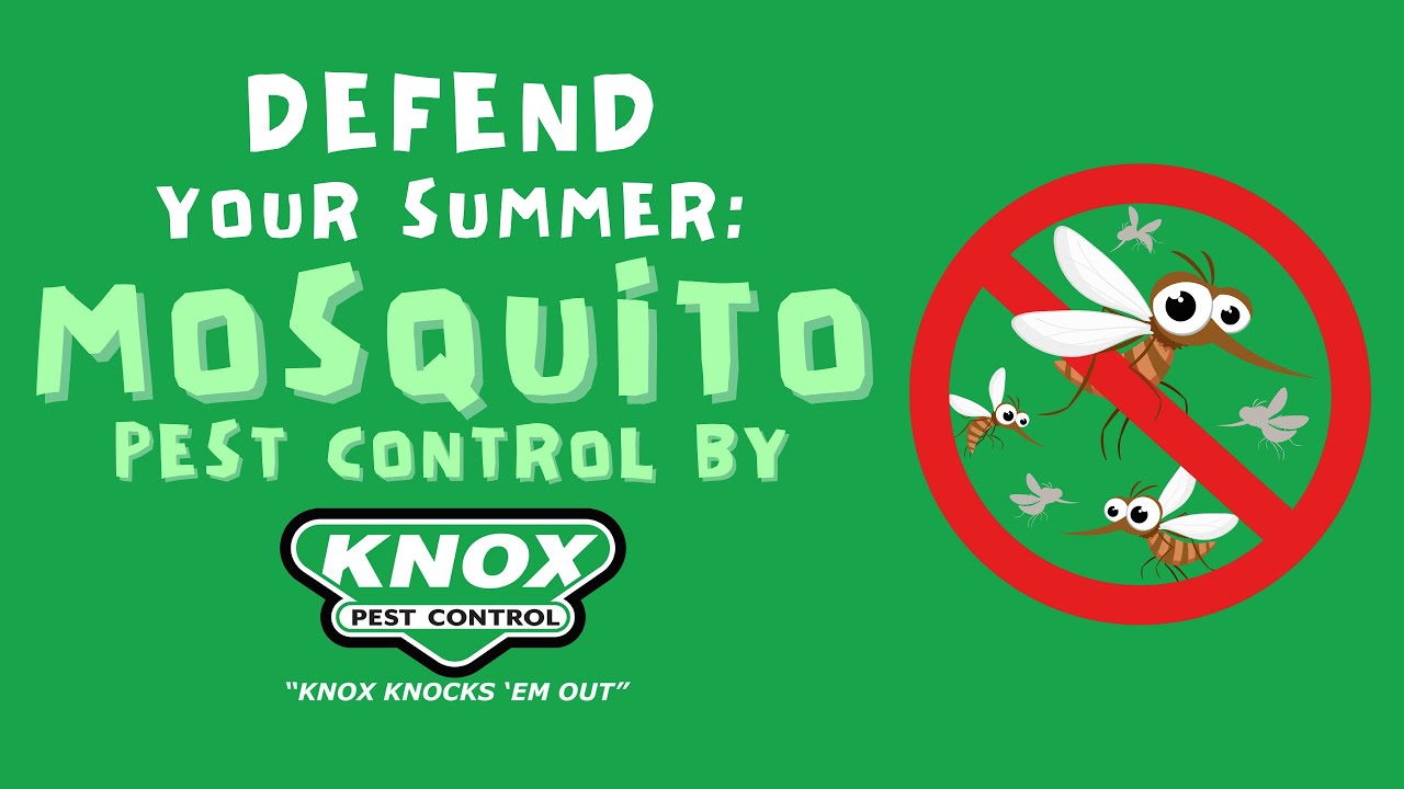 Defend Your Summer Mosquito Pest Control by Knox Pest Control YouTube