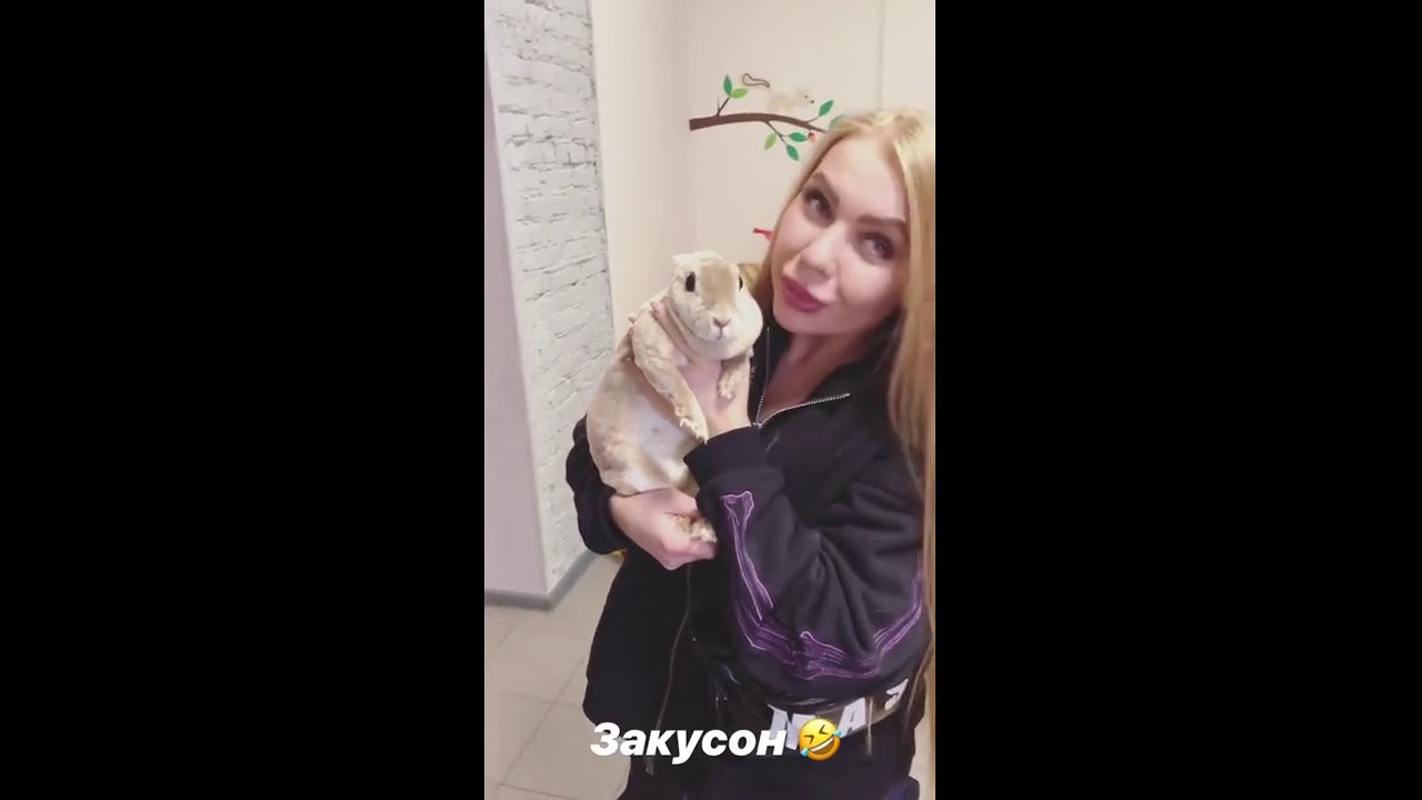 Карина лазарьянц сиськи