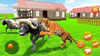 Wild Tiger City Rampage | Lion Attack Gameplay | tiger Game Video | Hannu Games screenshot 4