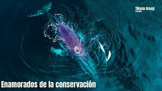 Enamorados de la conservación
