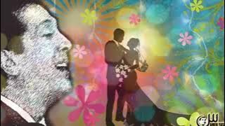 ادى الزين وادى الزينة على الحجار