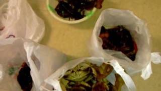 VIDEO0046.mp4