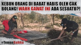 CAK BOLANG NGAMUK KEBUN ORANG DI BABAT HABIS! TINGGAL SENDIRIAN DIBAWAH POHON?!