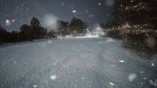 Snowlapse.