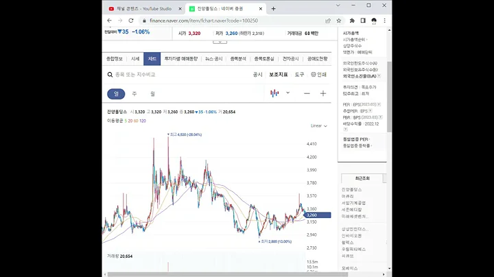 100250진양홀딩스 주가 전망 및 차트 분석