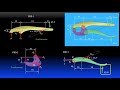 Statics 7-2d Analysis of Machines