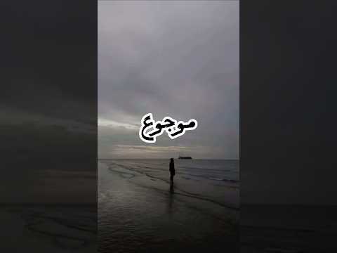 قلبي من الوجع موجوع نور الدين الطيار محمود هجرس