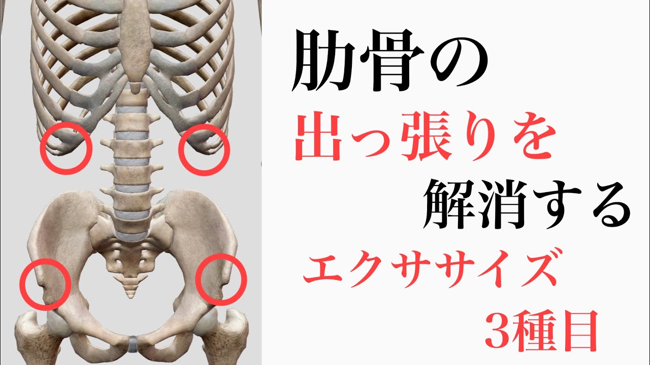 肋骨の出っ張りの原因と対策!肋骨が出てしまう原因とは? – 肋骨の出っ張り 原因 – WGYC
