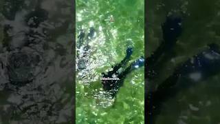 Something Mysterious Appeared Underwater...| Part 1#adventure #history#mystery #oceanmystery #shorts