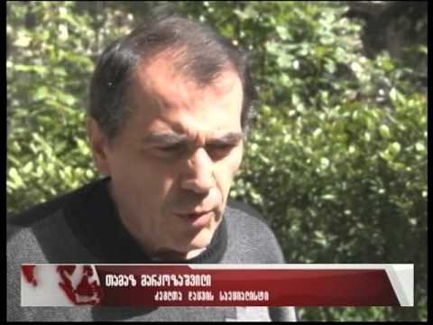 გრიგოლ ფერაძის სახლის ნანგრევებს აღდგენითი სამუშაოები ჩაუტარდება