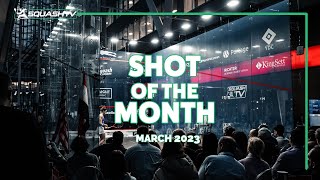 Squash Shots of the Month - March 2023 💥