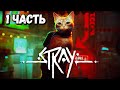 STRAY - Любовь, Котики и Роботы - ПОЛНОЕ ПРОХОЖДЕНИЕ - СТРИМ 1 ЧАСТЬ