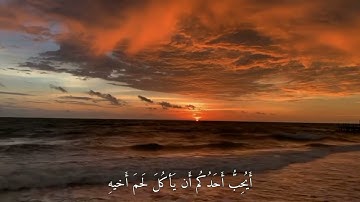 تلاوة قصيرة - يا أيها الذين آمنوا اجتنبوا كثيرا من الظن - القران الكريم