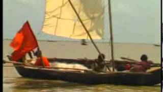 Bangladesh River Meghna S Hilsha Fish