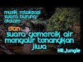Relaksasi Suara Burung Dialam Dan Gemercik Air Mengalir Relaxing Sound Mp3 - Mp4 Download