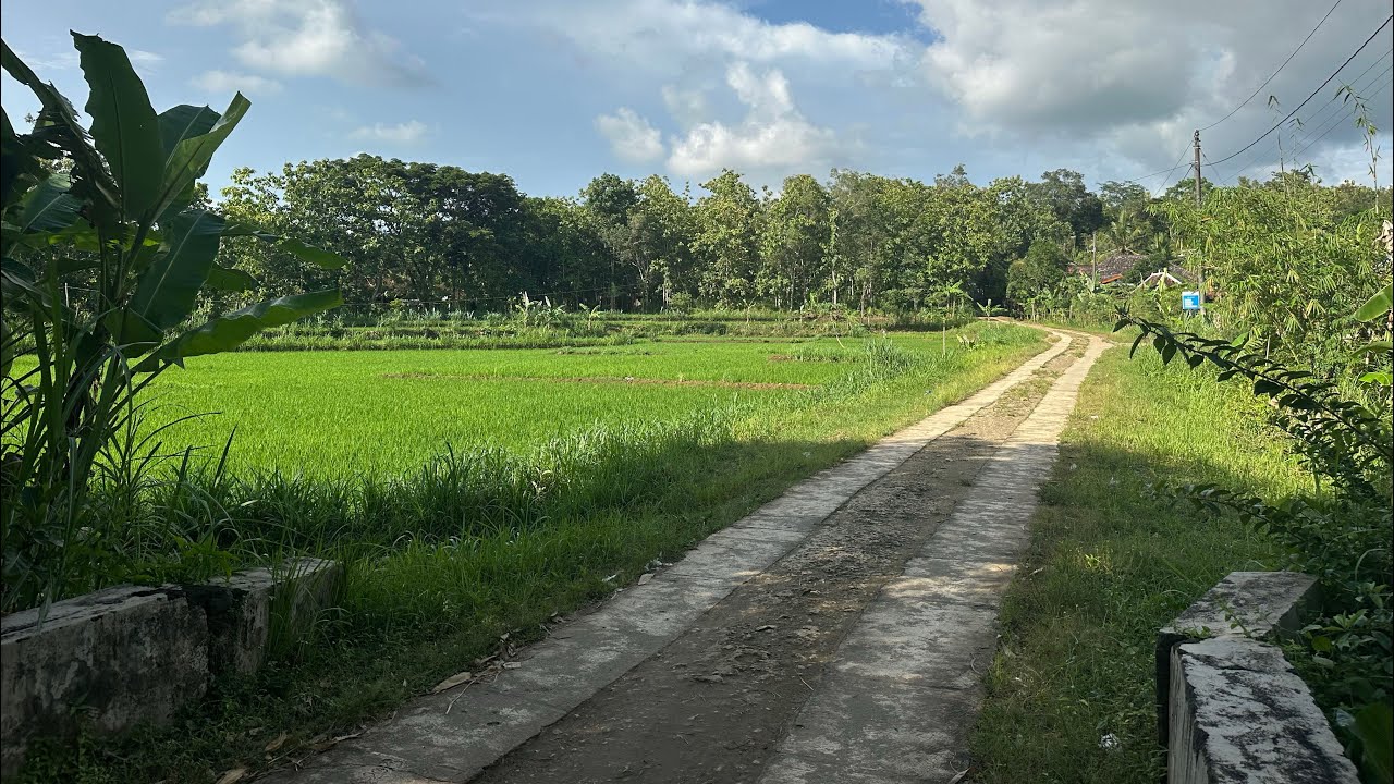 Tanah murah dekat sungai kecil keluasan hasil ukur PtSL