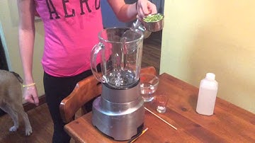 DNA extraction - Forensic Education