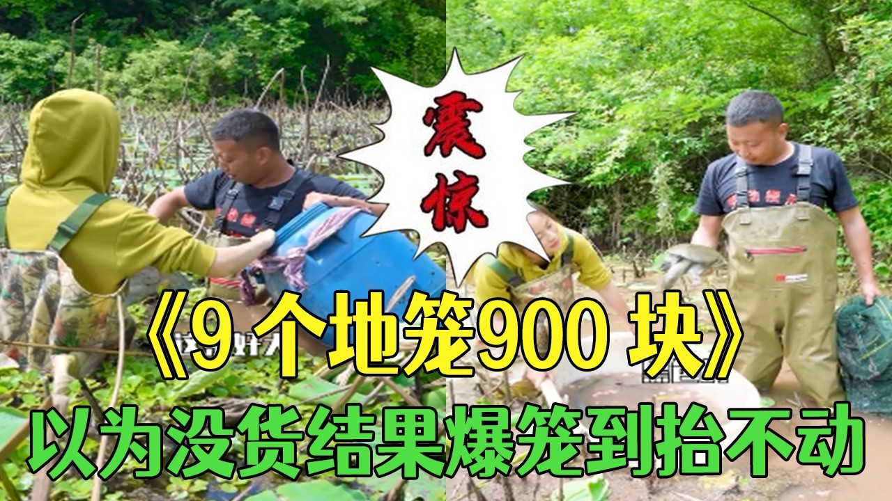 9個地籠900塊！便宜包個荒塘以爲沒貨，結果爆籠到擡不動 #小飛哥#農村生活 #護外 #抓魚  #三農 #我要上熱門